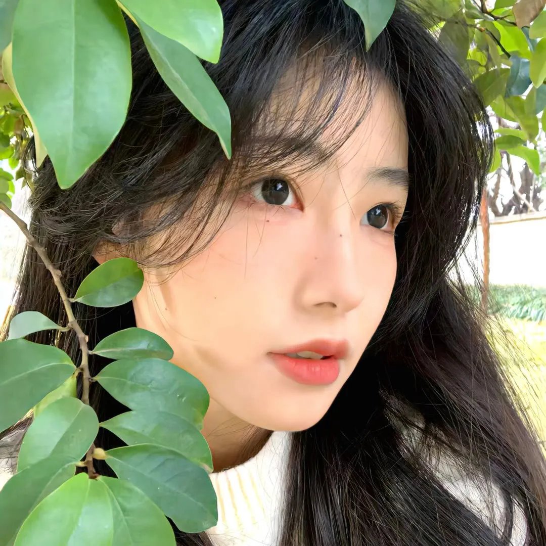 四人帮翻转校园