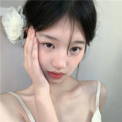 笨蛋的悲剧人生
